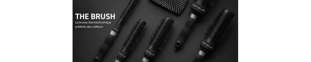 THE BRUSH